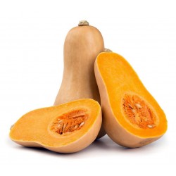 BUTTERNUT