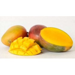 MANGUE