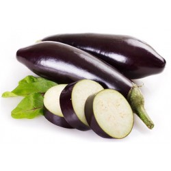 AUBERGINE