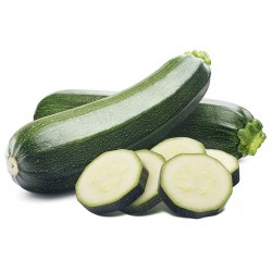 COURGETTE LONGUE VERTE