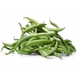 HARICOTS VERTS